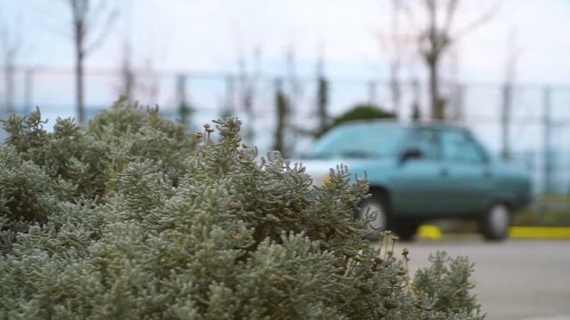 Renault 9 Spring | Bir Tur Versene | 40 bin km'de смотреть онлайн