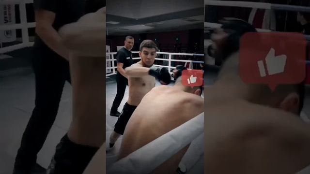 Новости поп мма!Финал Путь на вершину бойцов- мма, бокса и самбо#бои,#вершинапопмма,#попмма, смотреть онлайн