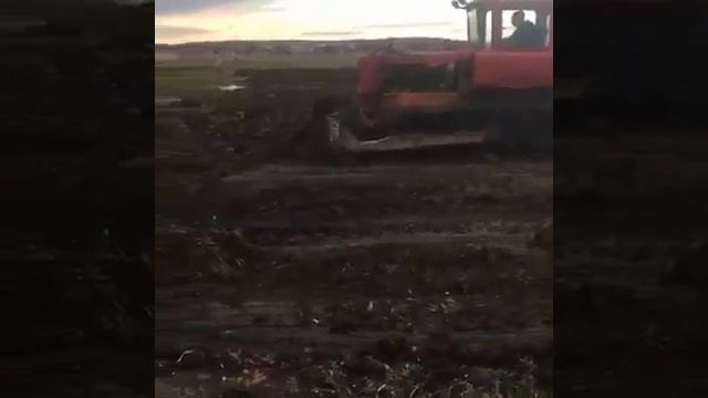Закапываем улики загрязнения почвы смотреть онлайн