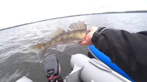 ЛОВЛЯ СУДАКА НА РАТЛИНЫ!!! СЕКРЕТНАЯ ПРОВОДКА!!!