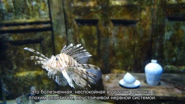 Значение имени Аза. Толкование, судьба, характер смотреть онлайн