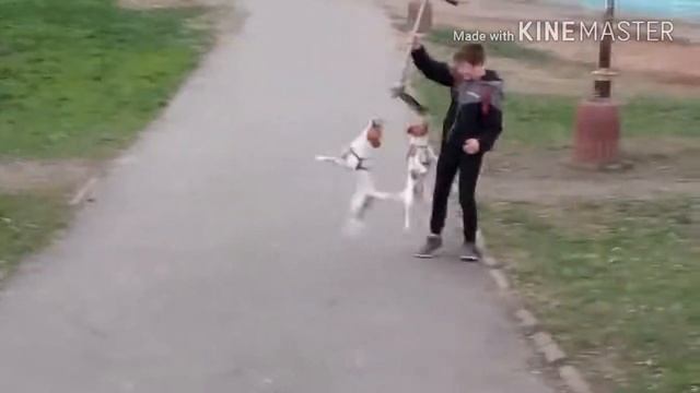 VLOG:ШОК разбился на самокате смотреть онлайн