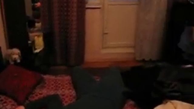 Соседи часть 2 смотреть онлайн