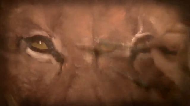 Художник Игорь Сахаров пишет 'ПОРТРЕТ ЛЬВА' смотреть онлайн