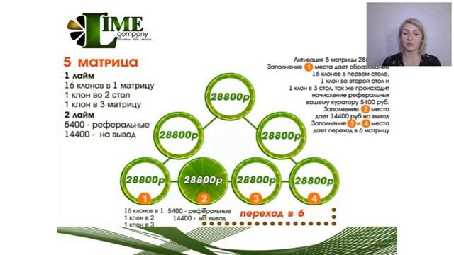 Маркетинг план компании Лайм