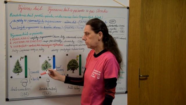 Výživa húb. Význam húb v prírode a pre človeka. смотреть онлайн