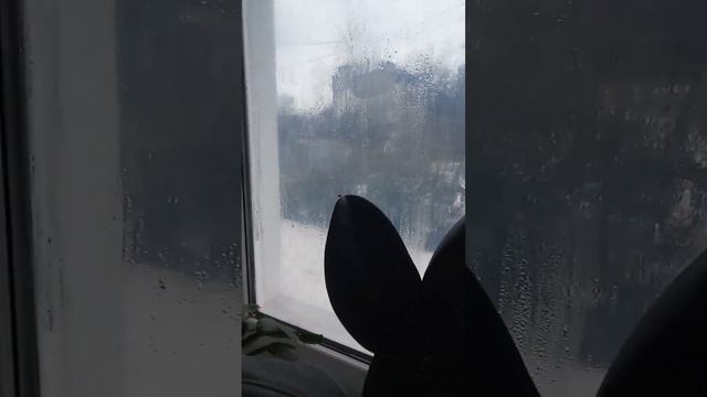 Одна дома без света!🥰👍Канал Саша. смотреть онлайн