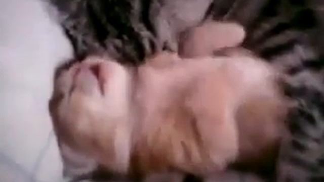 Вот что значит мама смотреть онлайн