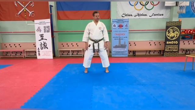 Стопа 🦶 Упр 1 смотреть онлайн