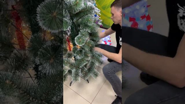 Как красиво распушить елку - сосна смотреть онлайн