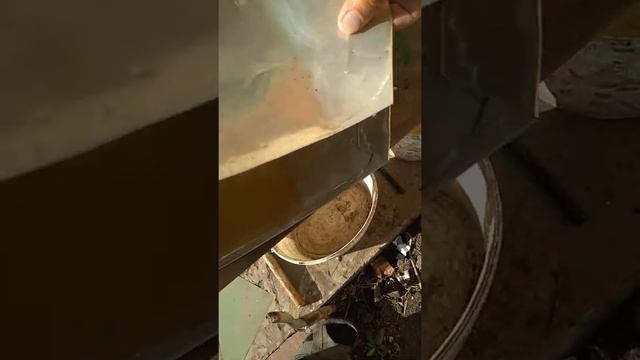 Как в баню дрова носить. смотреть онлайн