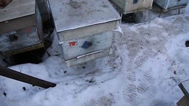 весенние работы на пасеке - как весною подкармливать пчел - часть 1 смотреть онлайн