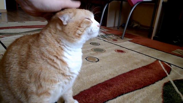 Немного Семёна смотреть онлайн