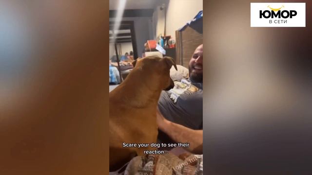 ПОПРОБУЙ НЕ ЗАСМЕЯТЬСЯ #17, 99.9% ПРОИГРАЮТ / ПОДБОРКА ПРИКОЛОВ / СМЕШНЫЕ ВИДЕО 2024 смотреть онлайн