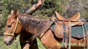 Как седлать коня для поездки верхом в горах???⛰