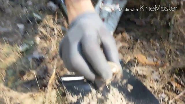 Кладоискатели Богодухов 2015 г. смотреть онлайн