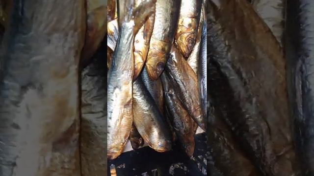 Сардина (Иваси) Х/К смотреть онлайн