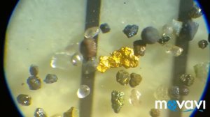 Золото в шлихе