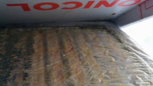 Пасека 29 декабря! смотреть онлайн