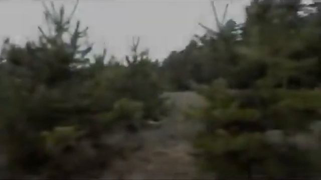 Поздняя осень смотреть онлайн