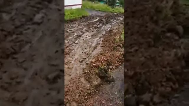 Дорога в Осинниках смотреть онлайн