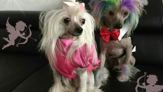 КХС друзей  FB.