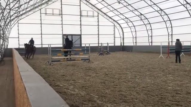 продажа спортивных лошадей 08 февраля 2020 г. смотреть онлайн