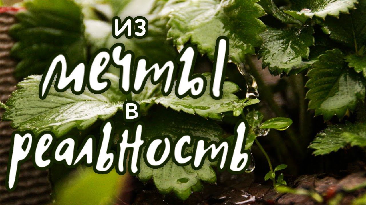 Превращаю свой дом в сад!