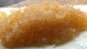 Солим щучью икру. Разделка ЩУКИ на филе