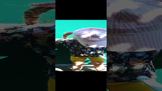 смешное видео смотреть онлайн