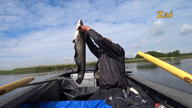 СОМ на КВОК. ТЕСТИРУЮ эхолот LOWRANCE ELITE FS9. смотреть онлайн