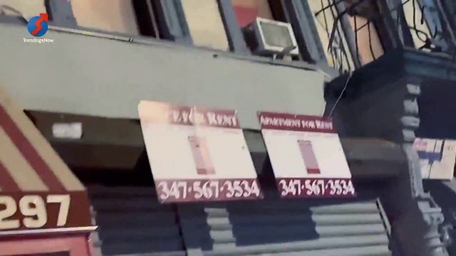 Emily Ratajkowski hangs with DJ Orazio Rispo again after rumored Eric André split #EmilyRatajkowski смотреть онлайн