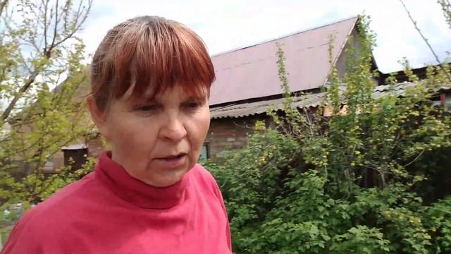 ПОСАДКА ПЕРЦА В ОТКРЫТЫЙ ГРУНТ/УБОРКА В КЛУБНИКЕ смотреть онлайн