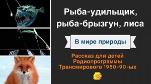 4. Рыба-удильщик, рыба-брызгун, лиса «В мире природы»