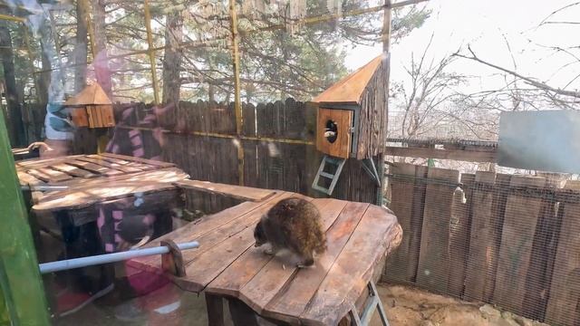 Геленджик. ?Новости. ?Прогулка .Парк "Олимп". Канатная дорога⭐️ смотреть онлайн