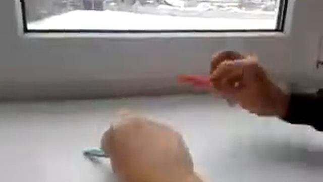 Бит бокс. Гимн. Украины смотреть онлайн