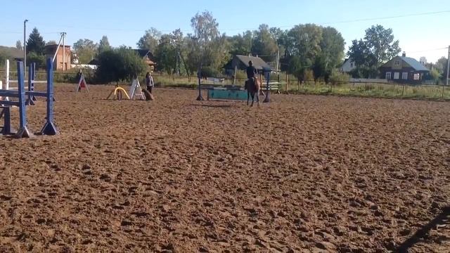 Сухова Эльвира на Хоп-Бей, 110см смотреть онлайн