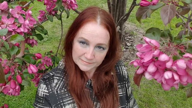 Собери! смотреть онлайн