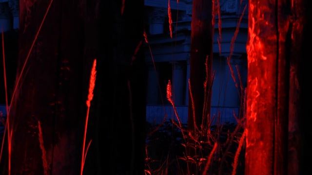 Сад "2010" Автор: Домброва Наталия, г. Тольятти (ВДНХ, 2016) смотреть онлайн