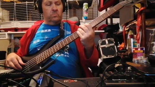 Véronique Sanson - Bahia (Didier Cover Bass) смотреть онлайн