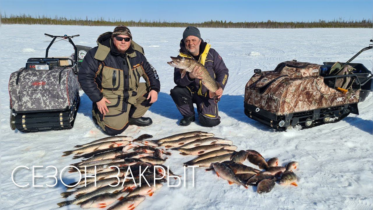 СЕЗОН ЗАКРЫТ ?! ТАКОГО Я НИ РАЗУ НЕ ВИДЕЛ!!! #рыбалка #щука #спининг #fishing #pike #pikefishing