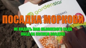 Посадили морковь. Обед на свежем воздухе. Загубили яблоню средством от муравьев