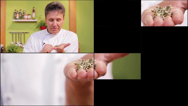 Keimlinge & Sprossen richtig züchten und lagern von Bernd Trum смотреть онлайн