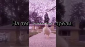 Фф про Драко Малфоя и Т/и "Я люблю тебя" 3 серия🐍💚