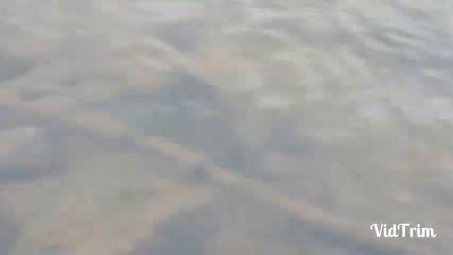 28.10.2018 г. Г. Магадан, 9 км на реке Дукча, ловля мальмы. смотреть онлайн