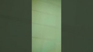 Пылесос Zepter cleansy 100 разборка чистка фильтра