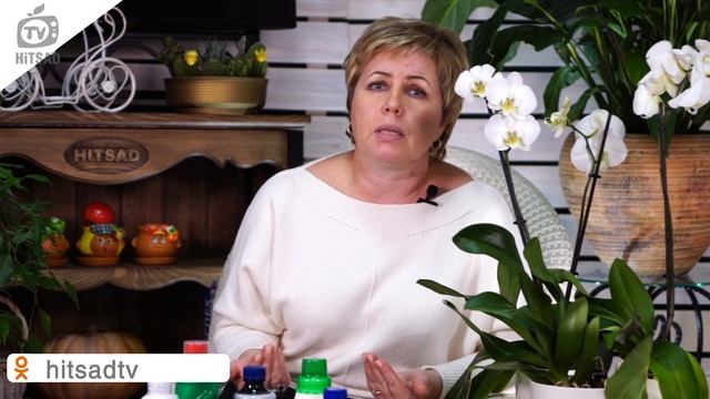Ошибки При Выращивании Орхидеи ? Мифы и Заблуждения Об Орхидеях ? Часть 2 смотреть онлайн