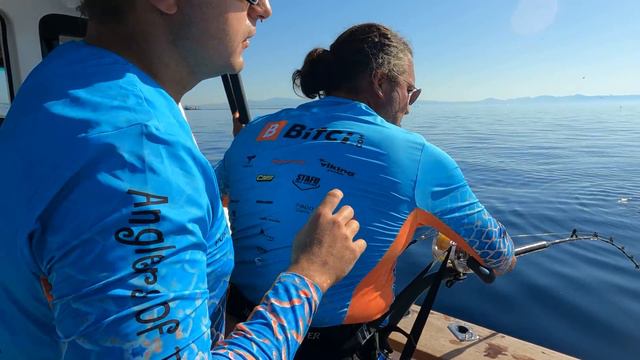 Chasing the World's MOST EXPENSIVE Fish $$$ Spear Fishing BLUEFIN Tuna & Bull MAHI in Turkey смотреть онлайн