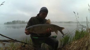 Ловля белого амура на кукурузу