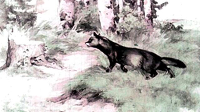 Для детей Сказка об умном мышонке в стихах С.Маршак смотреть онлайн